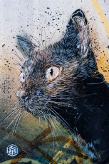 C215 - Vitry - Place Jean Martin - Mai 2012