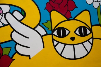 Mr Chat - Rue Parodi 10è - Juin 2012