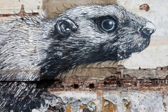 Roa - Hackney Road - Londres - Juin 2012