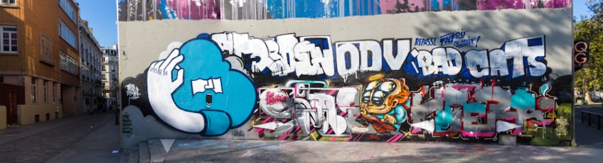 Hobz (TRBDSGN) et Shane - Place Poulmach 10è - Octobre 2012