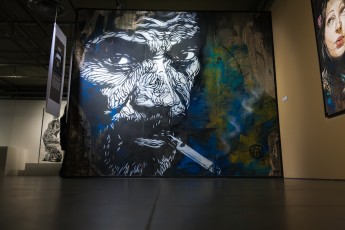 C215 - Au delà du street art. Exposition collective au Musée de la Poste du 28 novembre 2012 au 30 mars 2013. Sont représentés : C215, Banksy, Shepard Fairey, Invader, Dran, Ludo, L'Atlas, Rero, MissTic, Swoon et Vhils, mais aussi Jef Aérosol, Ernest Pignon-Ernest et Gérard Zlotykamien.