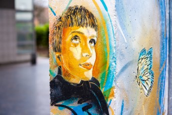 C215 - Vitry - Janvier 2013