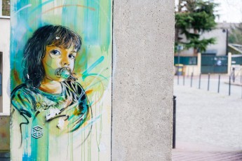 C215 - Vitry - Janvier 2013