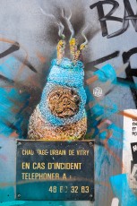 C215 - Vitry - Janvier 2013