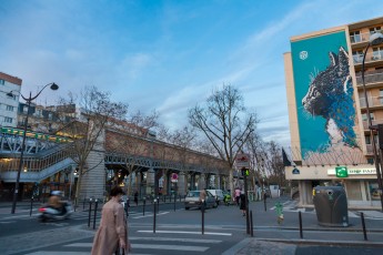 C215 - Boulevard Vincent Auriol 13è - Avril 2013