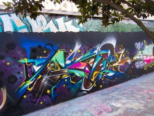 Saner - Rue Henri Noguérès 19è - Avril 2013