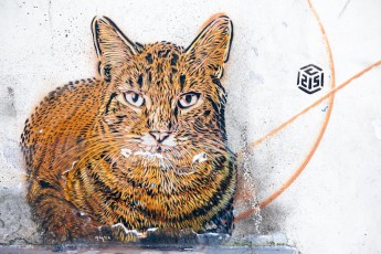 C215 - Vitry - Cité Gagarine - Mai 2012