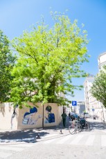 Seth - Les Lézarts de la Bièvre - Rue de l'Espérance 13è - Juin 2013