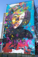 C215 - Vitry - Boulevard de Stalingrad - Mars 2014