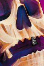 Inti Castro - Les Frigos - Paris 13è - Avril 2014