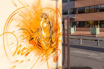 C215 - Ivry - Rue Raspail - Octobre 2014