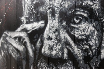 Jef Aérosol et Lee Jeffries à l'exposition "Synergy" - Galerie Mathgoth, mars 2015