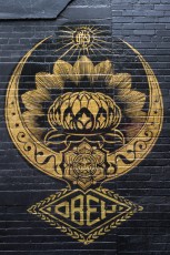 Shepard Fairey - Mott Street - Little Italy - New York