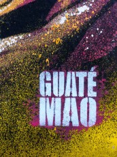 Guaté Mao - Rue d'Artois 08è - Mai 2016