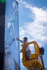 Roa - Work in progress - Rue Marguerite Duras 13è - Juin 2016