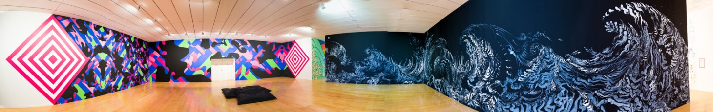 Reko Rennie et Charley Case "Wall drawings - Icônes urbaines" exposition au musée d'Art Contemporain de Lyon du 30 septembre 2016 au 15 janvier 2017