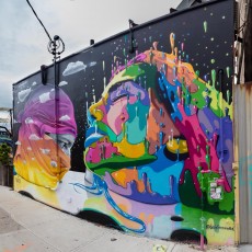 Dasic Fernandez - Bushwick - Brooklyn - New York - Avril 2017