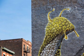 Mike Makatron - Bedford Avenue - Williamsburg - Brooklyn - New York - Avril 2017
