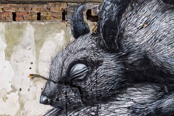 Roa - The Crystal Ship - Hofstraat - Ostende