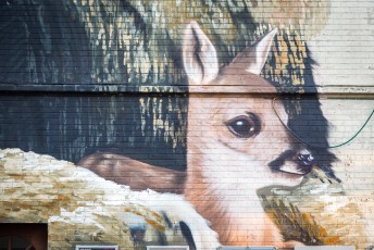 Smates & Locatelli - The Crystal Ship - Blaukasteelstraat - Ostende