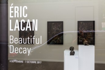 "Beautiful Decay" exposition de Eric Lacan à la galerie Openspace du 9 septembre au 7 octobre 2017