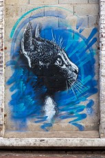 C215 - Street Generation - La Condition Publique - Roubaix - Septembre 2017