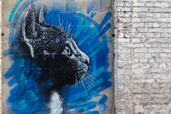 C215 - Street Generation - La Condition Publique - Roubaix - Septembre 2017