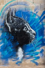 C215 - Street Generation - La Condition Publique - Roubaix - Septembre 2017