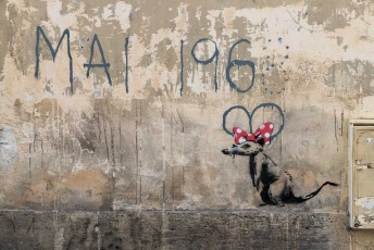 Banksy - Mai 1968 - Rue Maître Albert 05è - Juin 2018
