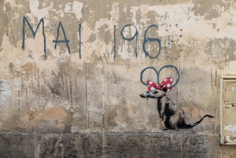 Banksy - Mai 1968 - Rue Maître Albert 05è - Juin 2018