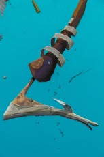 "La roue tourne" exposition de Maye à la galerie Itinerrance du 1er juin au 7 juillet 2018