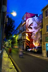 Shepard Fairey & Vhils - Rua da Senhoria de Glória - Graça - Lisbonne