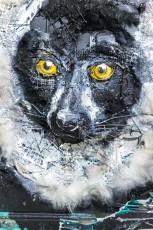 "Accord de Paris" exposition de Bordalo II à la galerie Mathgoth du 26 janvier au 2 mars 2019