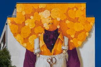 Inti - Avenue Debourg - Lyon (69) - Juillet 2019