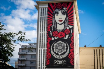 Shepard Fairey - Street Art Fest - Place Pasteur - Grenoble (38) - Juillet 2019