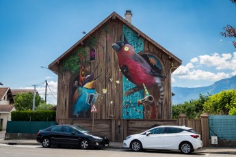 Dulk & Mantra -Street Art Fest - Rue Jean-Jacques Rousseau - Grenoble (38) - Juillet 2019