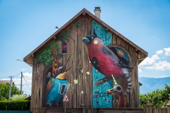 Dulk & Mantra -Street Art Fest - Rue Jean-Jacques Rousseau - Grenoble (38) - Juillet 2019