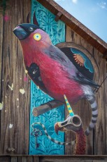 Dulk & Mantra -Street Art Fest - Rue Jean-Jacques Rousseau - Grenoble (38) - Juillet 2019