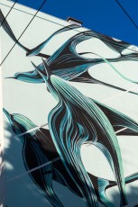 Pantonio -Street Art Fest - Avenue du Maréchal Randon - Grenoble (38) - Juillet 2019