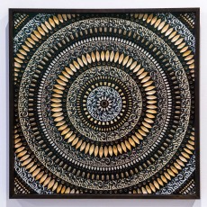 "L’impermanence de la Nature" exposition de Crytik à la galerie Itinerrance du 19 septembre au 26 octobre 2019