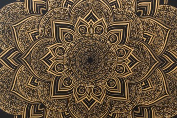 "L’impermanence de la Nature" exposition de Crytik à la galerie Itinerrance du 19 septembre au 26 octobre 2019