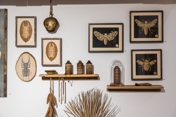 "L’impermanence de la Nature" exposition de Crytik à la galerie Itinerrance du 19 septembre au 26 octobre 2019