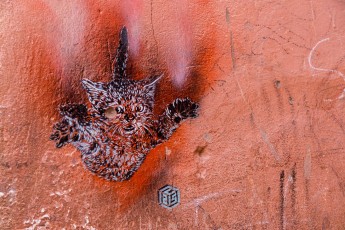 C215 à Marrakech - Décembre 2016