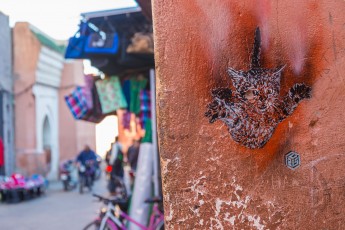 C215 à Marrakech - Décembre 2016