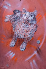 C215 à Marrakech - Décembre 2016