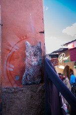 C215 à Marrakech - Décembre 2016