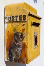 C215 - Pour Djerbahhod - Erriadh - Février 2020