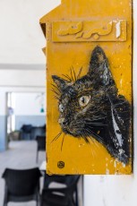 C215 - Pour Djerbahhod - Erriadh - Février 2020