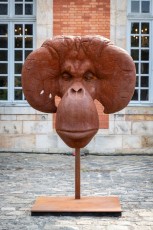 "Anomal" exposition de Quentin Garel au domaine de Chamarande (91) du 25 janvier au 29 mars 2020. Prolongations jusqu'au 14 juin 2020.