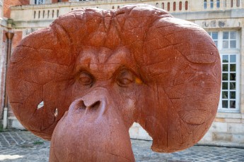 "Anomal" exposition de Quentin Garel au domaine de Chamarande (91) du 25 janvier au 29 mars 2020. Prolongations jusqu'au 14 juin 2020.